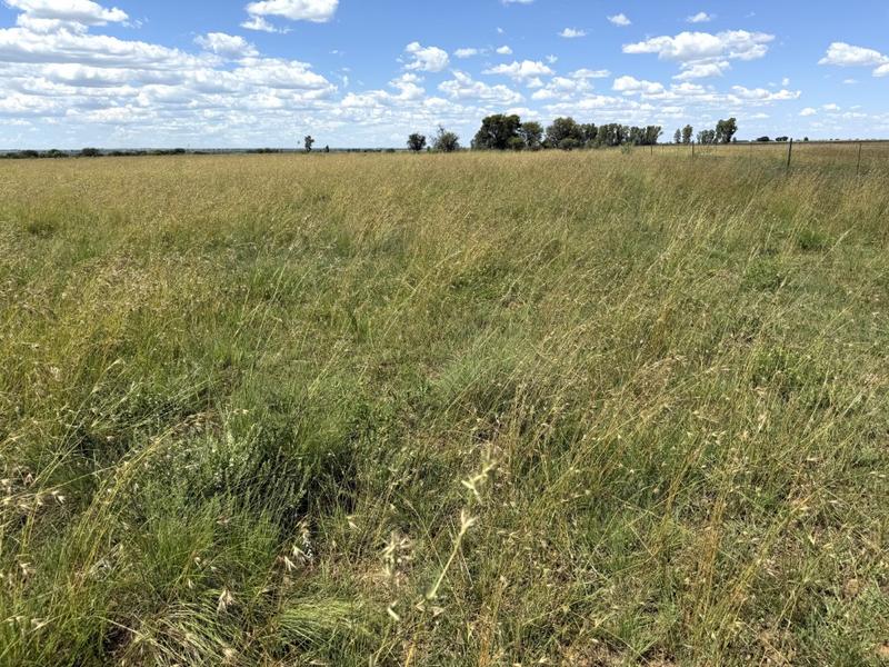 0 Bedroom Property for Sale in Bothaville Free State